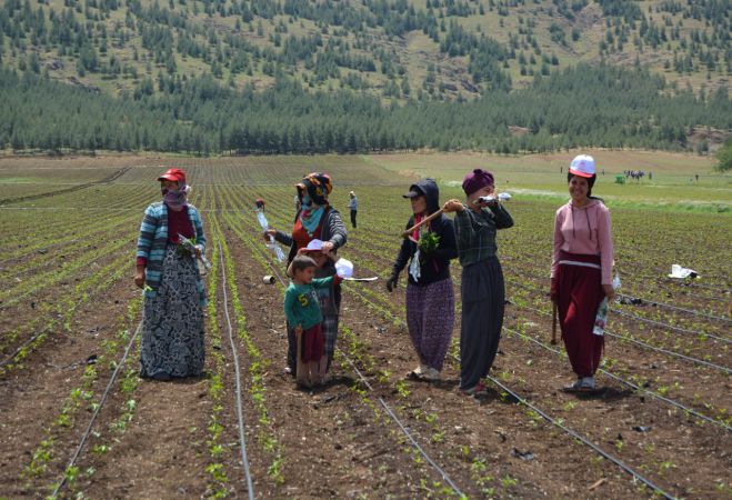 Gaziantep'e tarlada çalışan kadınlara "Anneler Günü" sürprizi 7