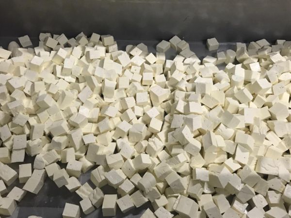 Vali Gül Durmuyor!Gaziantep İçin Çalışıyor..Gaziantep'te üreticilerin elinde kalan sütler peynire dönüştürülerek ihtiyaç sahiplerine dağıtıldı 3