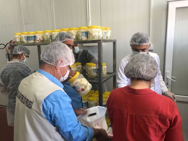 Vali Gül Durmuyor!Gaziantep İçin Çalışıyor..Gaziantep'te üreticilerin elinde kalan sütler peynire dönüştürülerek ihtiyaç sahiplerine dağıtıldı 2