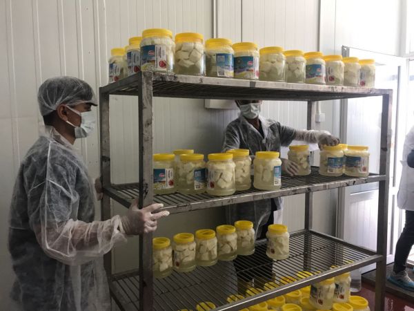 Vali Gül Durmuyor!Gaziantep İçin Çalışıyor..Gaziantep'te üreticilerin elinde kalan sütler peynire dönüştürülerek ihtiyaç sahiplerine dağıtıldı 6