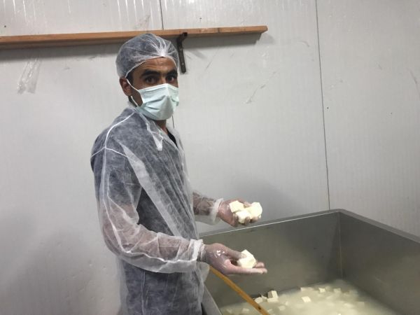 Vali Gül Durmuyor!Gaziantep İçin Çalışıyor..Gaziantep'te üreticilerin elinde kalan sütler peynire dönüştürülerek ihtiyaç sahiplerine dağıtıldı 7