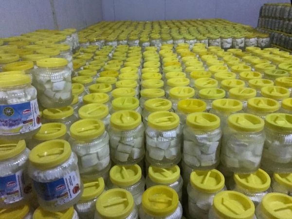 Vali Gül Durmuyor!Gaziantep İçin Çalışıyor..Gaziantep'te üreticilerin elinde kalan sütler peynire dönüştürülerek ihtiyaç sahiplerine dağıtıldı 9