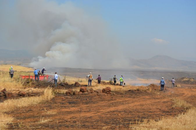Gaziantep'te buğday ekili tarlalarda yangın çıktı 1