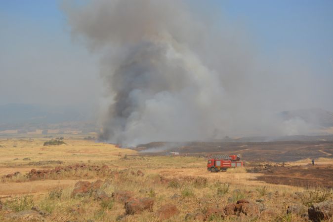 Gaziantep'te buğday ekili tarlalarda yangın çıktı 2