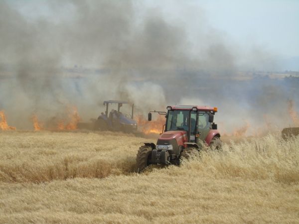 Gaziantep'te buğday ekili tarlalarda yangın çıktı 3