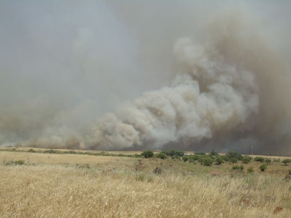 Gaziantep'te buğday ekili tarlalarda yangın çıktı 5