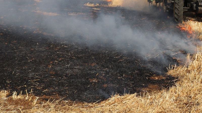 Gaziantep'te buğday ekili tarlalarda yangın çıktı 6