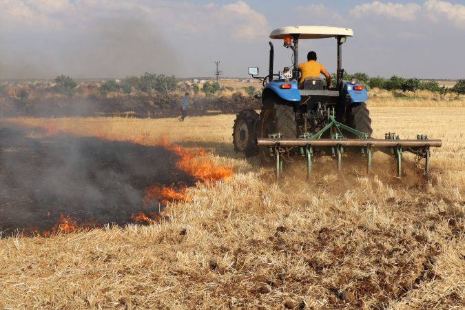 Gaziantep'te buğday ekili tarlalarda yangın çıktı 7