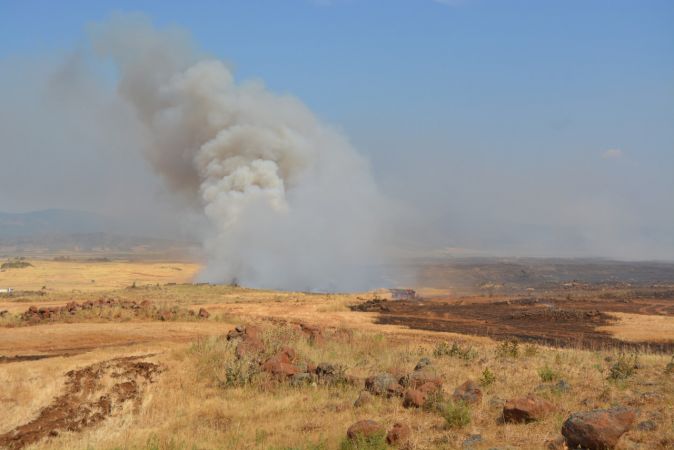 Gaziantep'te buğday ekili tarlalarda yangın çıktı 9