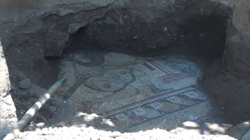Kaçak kazı sırasında tarihi mozaikler ortaya çıktı 7