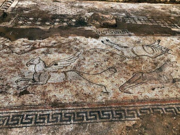 Kaçak kazı sırasında tarihi mozaikler ortaya çıktı 10