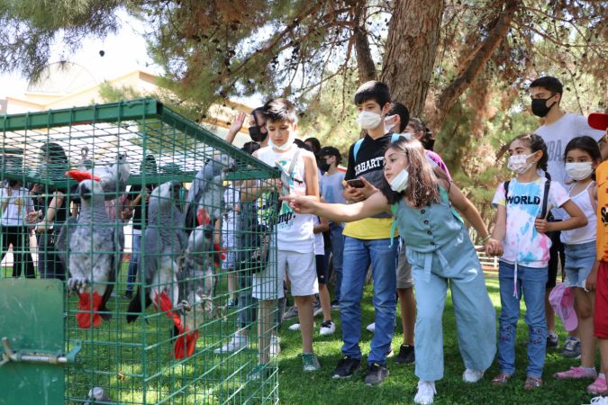 Gaziantep Hayvanat Bahçesi'ne yeni üyeler geldi 5