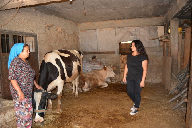 Foto Haber:Gaziantepli kadın muhtar evleri tek tek gezerek vatandaşları aşıya teşvik ediyor 5