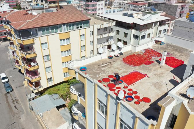 "Gastronomi kenti" Gaziantep'te kadınların salça telaşı 4