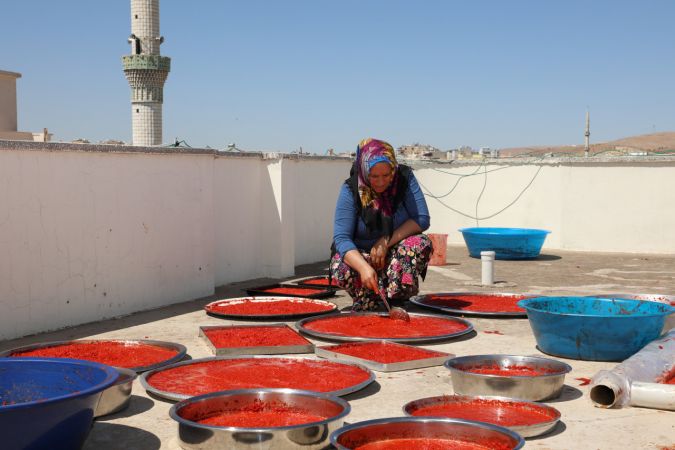 "Gastronomi kenti" Gaziantep'te kadınların salça telaşı 5