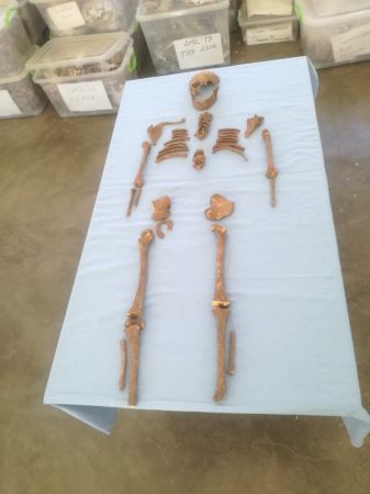 Foto Haber: Domuztepe Höyüğü’nde Orta Çağ’da yaşamış çocuğun iskeleti bulundu 3