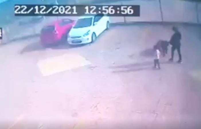 Minik Asiye o köpeklerle böyle oynamış... Gaziantep’teki Pitbull saldırısında yeni görüntüler ortaya çıktı 5