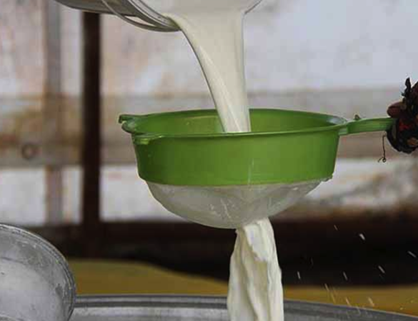 FLAŞ HABER! Ramazan öncesi Süt ve süt ürünlerine büyük zam. Ulusal Süt Konseyi çiğ süt fiyatını güncelledi ve zam oranını açıkladı. 1 Nisan'dan itibaren süt ve süt ürünlerine zam geliyor. Peynir, kaşar peyniri, yoğurt,  3
