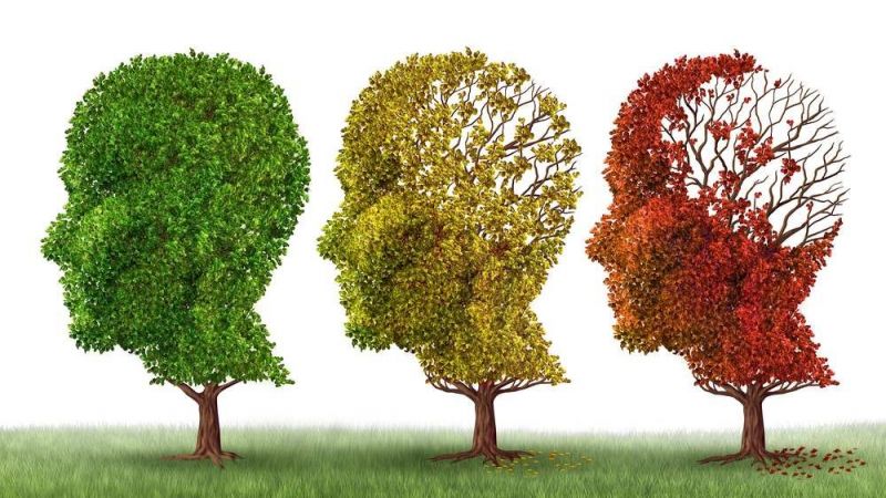 Uzmanlar Alzheimer’a Karşı Önlem Maddelerini Açıkladı! Bu Beslenme Alışkanlıkları Hafızanızı Güçlendirecek! 1