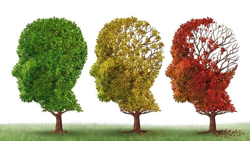 Dikkat Herkesin Mutfağında Olan O Yiyecekler Alzheimer’ı Tetikliyor, Beyni Erken Yaşlandırıyor! 1