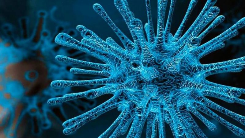 Koronavirüs Bitti Sanılıyordu; Dr. Stuart Ray Uyardı! Sonbahar Ve Kış Aylarına Dikkat! Her An Yeni Varyant Gelebilir… 1