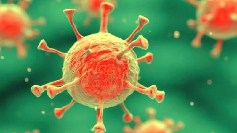 Koronavirüs Bitti Sanılıyordu; Dr. Stuart Ray Uyardı! Sonbahar Ve Kış Aylarına Dikkat! Her An Yeni Varyant Gelebilir… 4