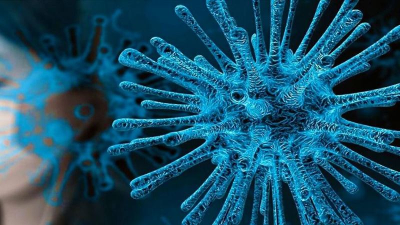 Koronavirüs İle İlgili Yeni Araştırma Gerçekleri Göz Önüne Serdi! Koronavirüse Yakalanmayanların Sırrı Ortaya Çıktı! Araştırma Oxford Üniversitesi’nde Yapıldı! 1