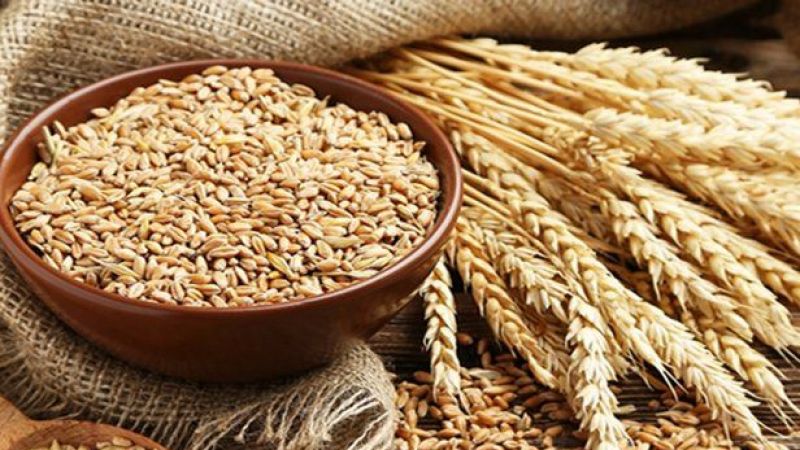 Tahıl Koridoru Anlaşması’nı Rusya İptal Etmişti! Buğday Fiyatları Artmıştı! Türkiye’nin İç Piyasasında Fiyat Artışı Olup Olmayacağı Netleşti! 2