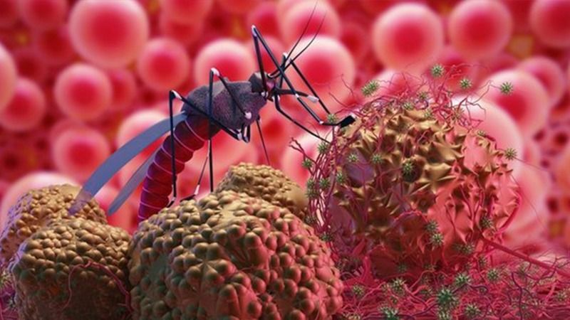 Koronavirüs, Grip ve RSV Tehlikesi Büyüyor! Acil Başvuruları 4 Kata Kadar Arttı! Bilim Kurulu Üyesi Uzman İsim Uyardı: “Hepsi Birbirine Karışıyor, Ayırt Etmek Çok Zor!” 3