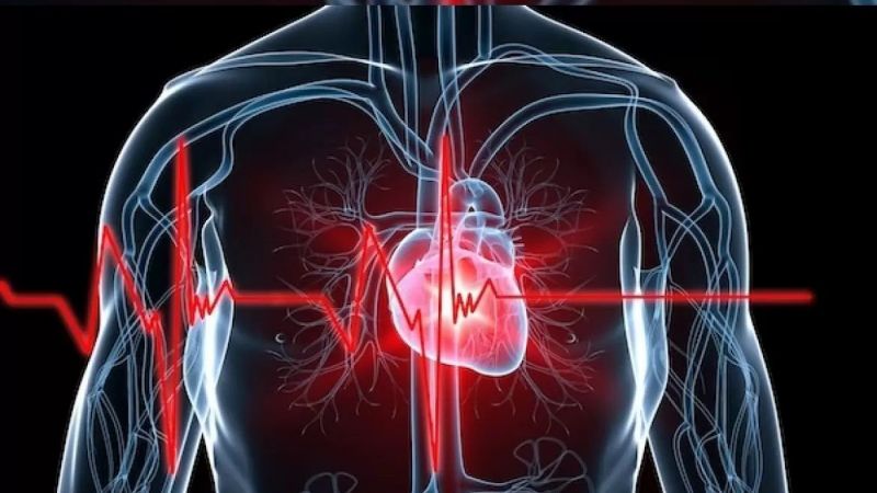 Kalp Krizi Geçiriyor Olabilirsiniz; Bu Belirtileri Mutlaka Önemseyin! Uzmanlar Uyardı: “Kalp Krizi İle İlgili Olarak Önlem Alın, Bilinçli Davranın…” 1