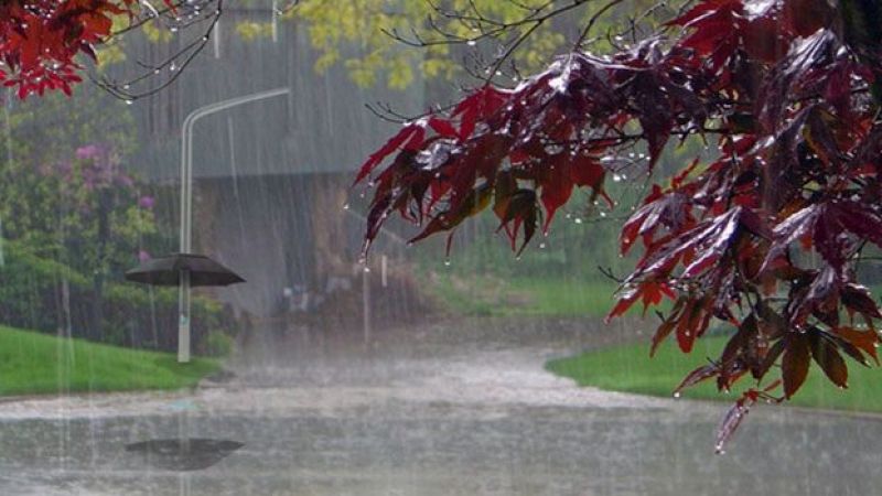 Gaziantep'te Bugün Hava Sıcaklığı Kaç Derece, Yağmur Var mı? 12 Ocak 2023 Gaziantep Saatlik Hava Durumu Tahminleri 1
