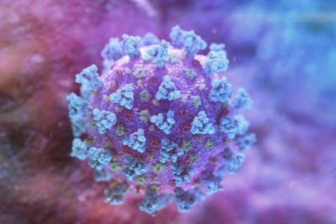 Dünya Sağlık Örgütü uyardı! Yeni koronavirüs varyantı 40 kat daha bulaşıcı 4