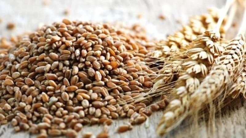Gaziantep Ticaret Borsası Duyurdu: Buğday Fiyatları Düştü! 17 Şubat 2023 Gaziantep Hububat Ürünleri Fiyatları 1