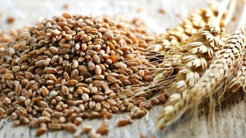 Gaziantep Ticaret Borsası Duyurdu: Buğday Fiyatları Düştü! 17 Şubat 2023 Gaziantep Hububat Ürünleri Fiyatları 3