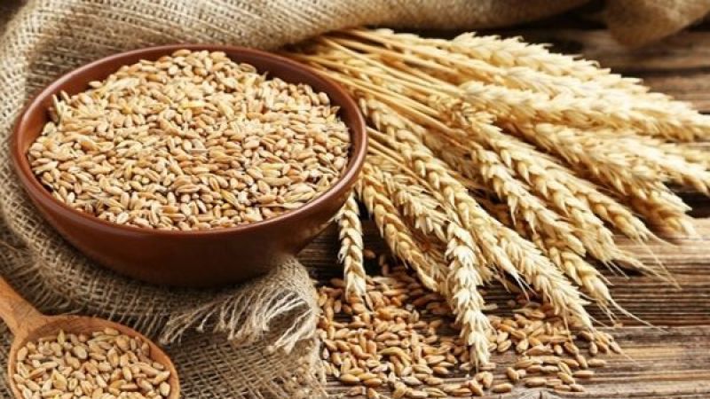 Gaziantep Ticaret Borsası Duyurdu: Buğday Fiyatları Düştü! 17 Şubat 2023 Gaziantep Hububat Ürünleri Fiyatları 4