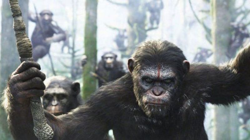 Maymunlar Cehennemi Başlangıç Filmi Bu Akşam Ekranlarda Yer Alacak! Konusu ve Oyuncu Kadrosu! 1
