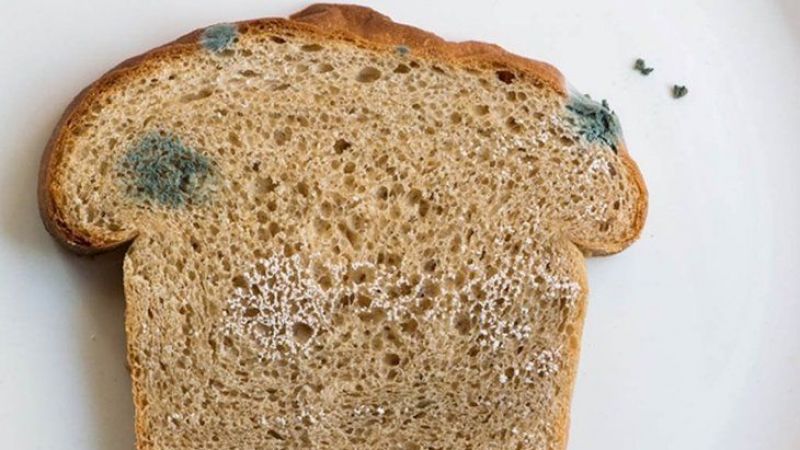 Ekmeği küflenmesini önlemenin en etkili yolları! Alüminyum folyo ve ekmek kutusu kullanın: Ekmeği dondurucuya atın 3