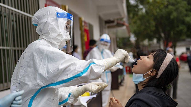 Çin’de Yeni Salgın! Kuş Gribinin İnsanlarda Ortaya Çıkan Tipi H3N8 Virüsü Can Aldı! 4