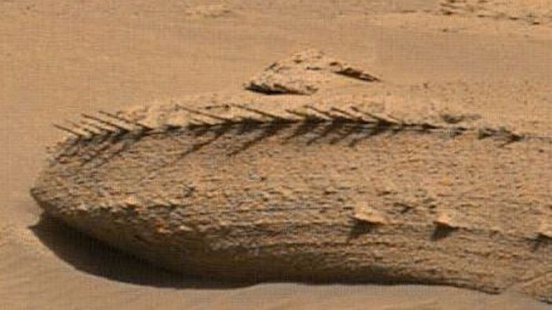 NASA’nın Mars Çalışmalarında Son Durum! Mars’ta Kemik Benzeri Garip Bir Cisim Bulundu! 2