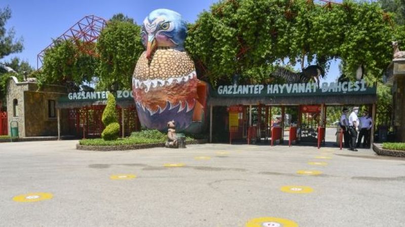 Bu Hayvanat Bahçesi Avrupa İkincisi! Gaziantep’teki Hayvanat Bahçesi Ziyaretçi Rekoru Kırıyor! 3
