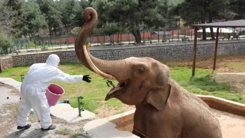 Bu Hayvanat Bahçesi Avrupa İkincisi! Gaziantep’teki Hayvanat Bahçesi Ziyaretçi Rekoru Kırıyor! 2