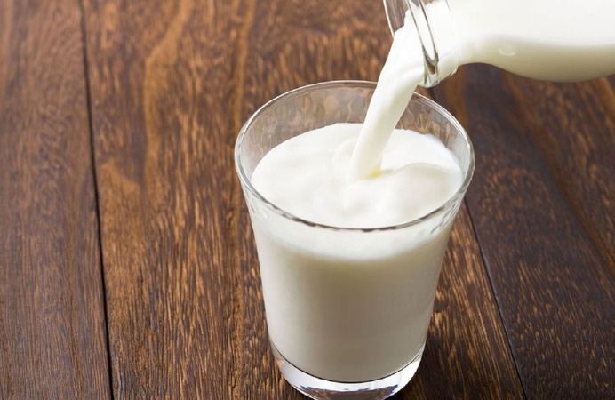 Süt Gerçekten Faydalı Bir İçecek Mi? Süte Dair Kafa Karıştıran Sorular Gündemde! 2