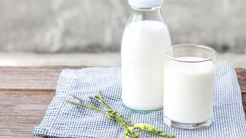 Süt Gerçekten Faydalı Bir İçecek Mi? Süte Dair Kafa Karıştıran Sorular Gündemde! 1