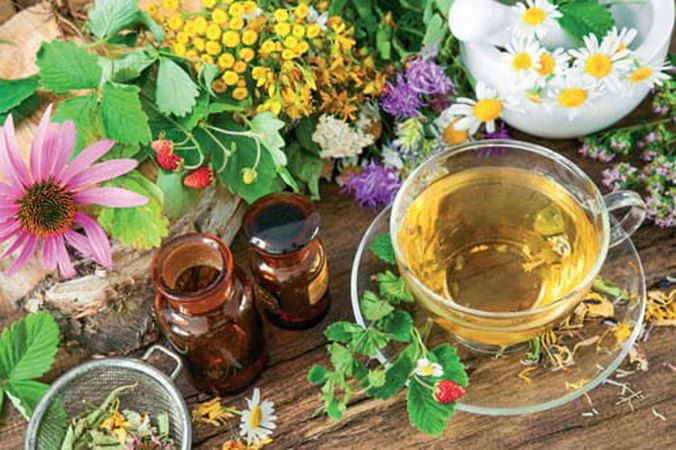 Uzmanlar Bitki Çayı Tüketirken Dikkatli Olunması Konusunda Uyarıyor! İlaçlar Kadar Dikkatli Olunmalı 2