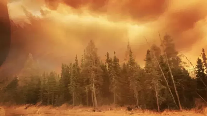 Kanada Yangınlarında Büyük Felaket: Binlerce Kişi Tahliye Edildi! Alberta'daki Yangınlar Kontrol Altına Alınamıyor: 19 Nokta Daha Alevlerin Pençesinde! 2