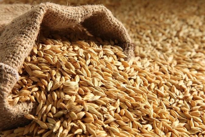 22 Mayıs 2023 Gaziantep Ticaret Odası günlük bülten yayını! Buğday fiyatları güncellendi: En az 9,020 TL! 3