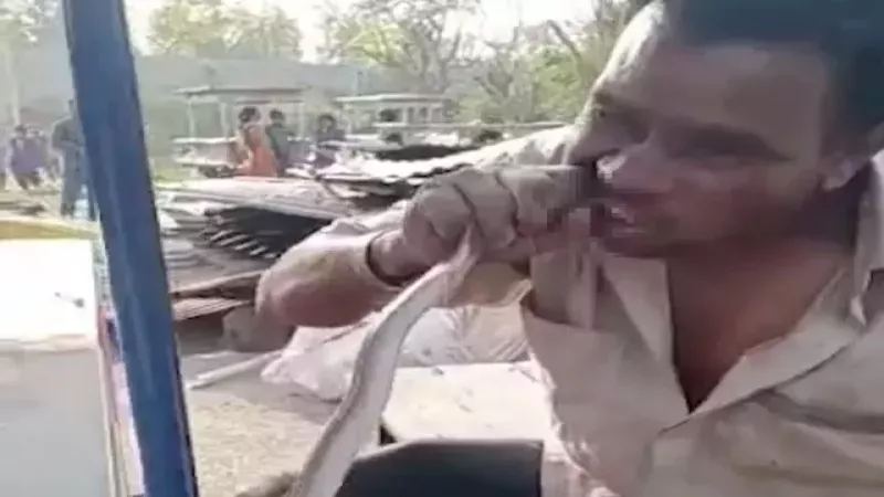 Görüntüler Hindistan'dan... Dondurmacı, yakaladığı yılanı canlı canlı yedi! 2