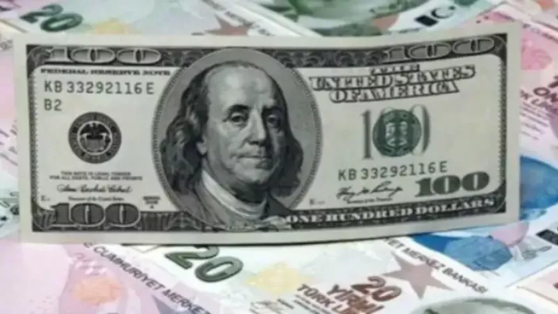 Dolar-TL'de yeni rekor: Dolar kaç lira oldu? 2