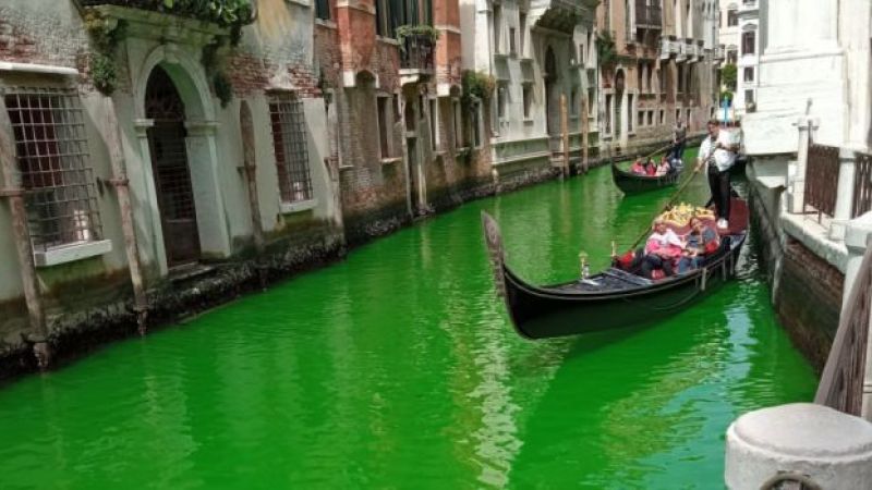 Çevreci aktivistlerin işi mi? Venedik Kanalı yemyeşil oldu! 1