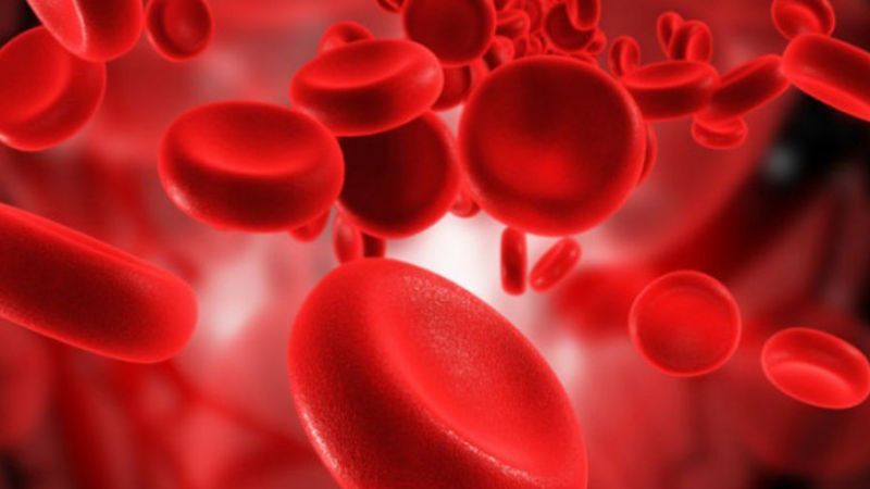 Japonlar açıkladı: Kan grubunuza göre kişilik testi sonuçlarına çok şaşıracaksınız! 3